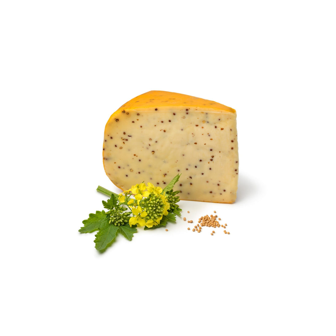 Jack's Gouda Mustard